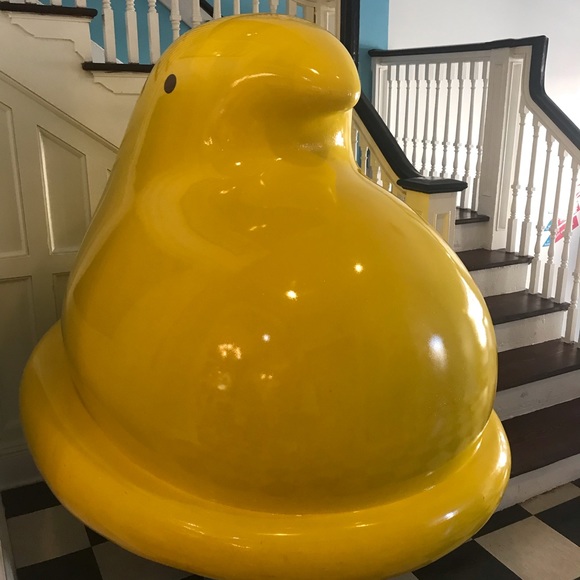 Meet your Posher, Nicole - Picture 2 of 5